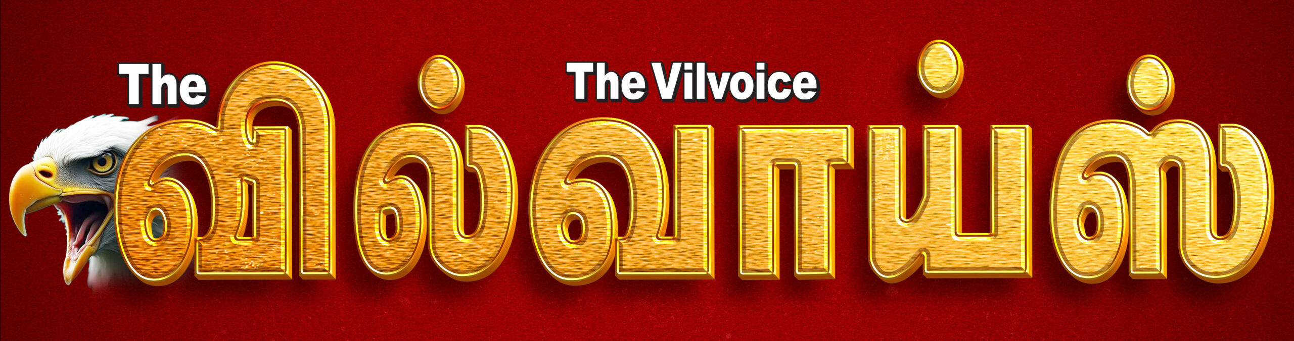 The VilVoice
